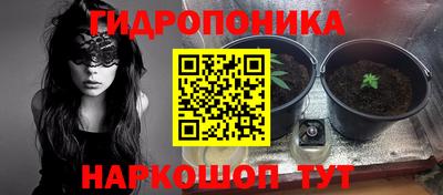 эйфоретик Пугачёв