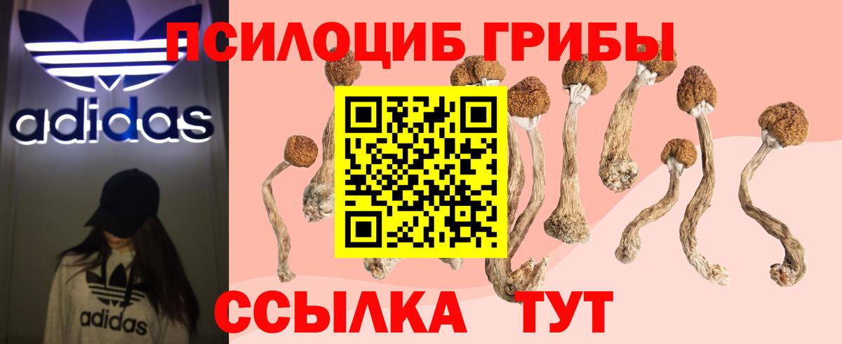 Осинники  Псилоцибиновые грибы ЛСД  Вход с VPN 